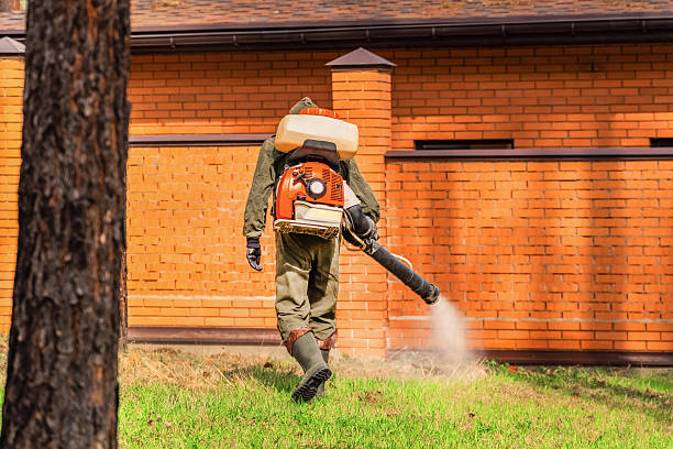 Trusted Termite Control service in Dickson City, PA - Nex Pest Control